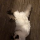 지예민박 이미지