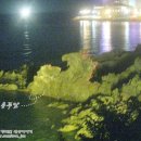 탑동 테마거리 이미지