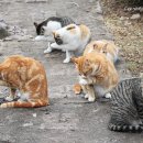 그루밍선데이 이미지