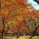 속리산둘레길 보은길3 이미지