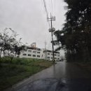 하이얀모텔 이미지