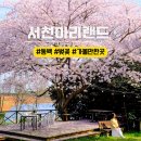 아리랑동백숲