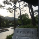 종로-연건-종로-연-390 | 서촌 탐방(15) - 해공 신익희 가옥에서 한옥마을, 보안여관, 경복궁 영추문까지