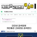 얼룩말직구