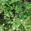 홍천휴게주유소 이미지