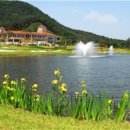 송광사&벚꽃길 이미지