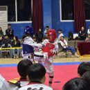 월곡체육관(태권도) 이미지