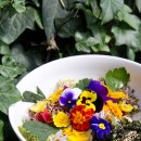 접시 위에 '색·맛·웰빙' 피워내는 식용 꽃 이미지