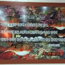 장춘복어 이미지