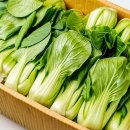 전라도청년