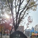 천주교 포이동 교회 이미지