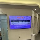 힐스타운 동물병원 | 동물병원] 봉담 24시동물의료센터 추천 봉담 24시동물...패혈증 수술, 입원 후기 참된의사선생님 계신곳!