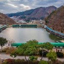 대명송어 이미지