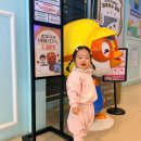 디큐브거제백화점 | 거제 디큐브백화점 키즈카페 :: 뽀로로맘앤키즈카페 거제디큐브점