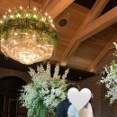 구감할머니 이미지