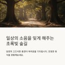 낙조전망대(패러글라이딩) | 주말에 안 가면 손해 보는 국내 여행지 TOP 8