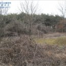 채운면사무소 이미지