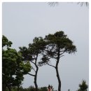 성골목장 이미지