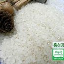 임금님께 진상했던 홍천강수라쌀 청와대에도납품 이미지