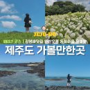성산마을회관 | 제주도 가볼만한곳 BEST 코스｜김녕바닷길 안친오름 동화마을 일출봉 유채밭