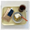 싱싱오징어 이미지