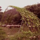 자연속의흙집 이미지