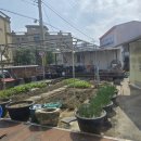 동읍1000 이미지