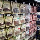 야옹아 멍멍해봐 이미지