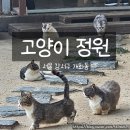 고양이정원 | 서울 근교 아이와 가볼만한 곳, 고양이정원 아쉬웠던 점이 많았던 솔직 후기