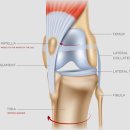 마음을 나누는 동물병원 이미지