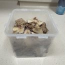 가정동 작은도서관 | ✨ [인천] 송도 행복한 순대리아 트럭 포장 후기