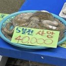 카제(KAZE)