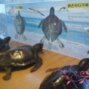 유영목장 이미지