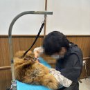 학원1번가학원