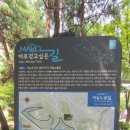 마포, 걷고싶은길 9코스 | 마포 걷고 싶은 길 9코스(24,8,25)