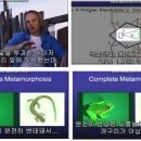 홍익에너지 이미지