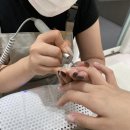 네추럴무드네일(Naturalmood nail) | 마곡나루역 젤네일 잘하는곳 추천 내추럴무드네일 다연쌤 원컬러 젤네일