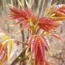 청미래농장 이미지