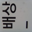 사류