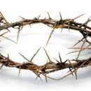 고난주간을 의미 있게 보내는 실천 사랑 이미지