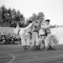 우렁찬태권도 이미지