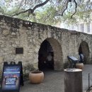 [미국 텍사스 여행기 (5)] 샌 안토니오 알라모(The Alamo)와 페르난도 성당 (San Fernando Cathedral) 이미지