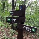 제379차 경북 봉화 문수산(1205m) 정기산행(2023.08.26) 이미지