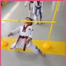 국가대표솔빛태권도장 이미지