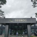 천안상록씨씨점클럽하우스 | 천안상록CC 솔직 라운드 후기｜코스는 좋은데 티박스 운영은 아쉬웠다