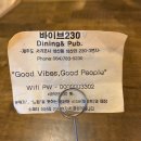바이브230