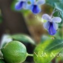 슬기로운 바느질 생활 이미지