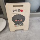 코르륵 이미지