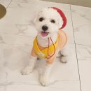 멍품유치원 이미지