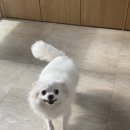 써니몽 네이버블로그